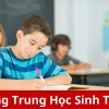 Khóa học tiếng trung học sinh THPT