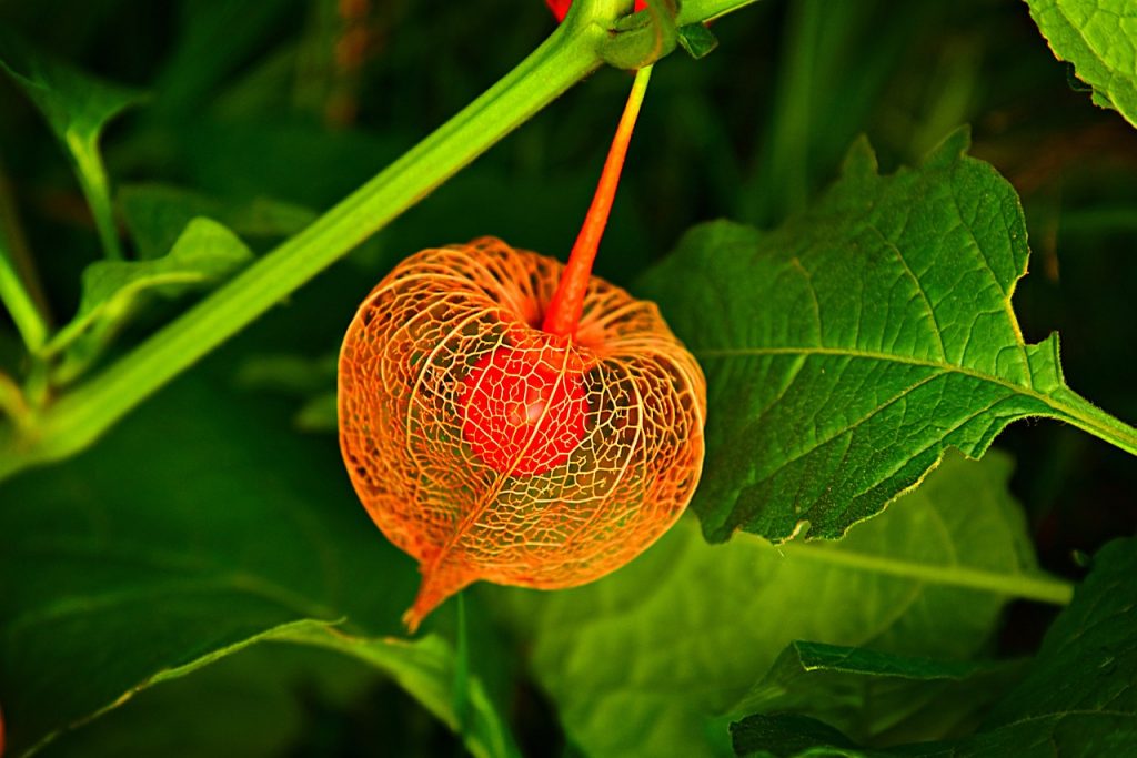 6 KHẨU NGỮ TIẾNG TRUNG ĐƠN GIẢN